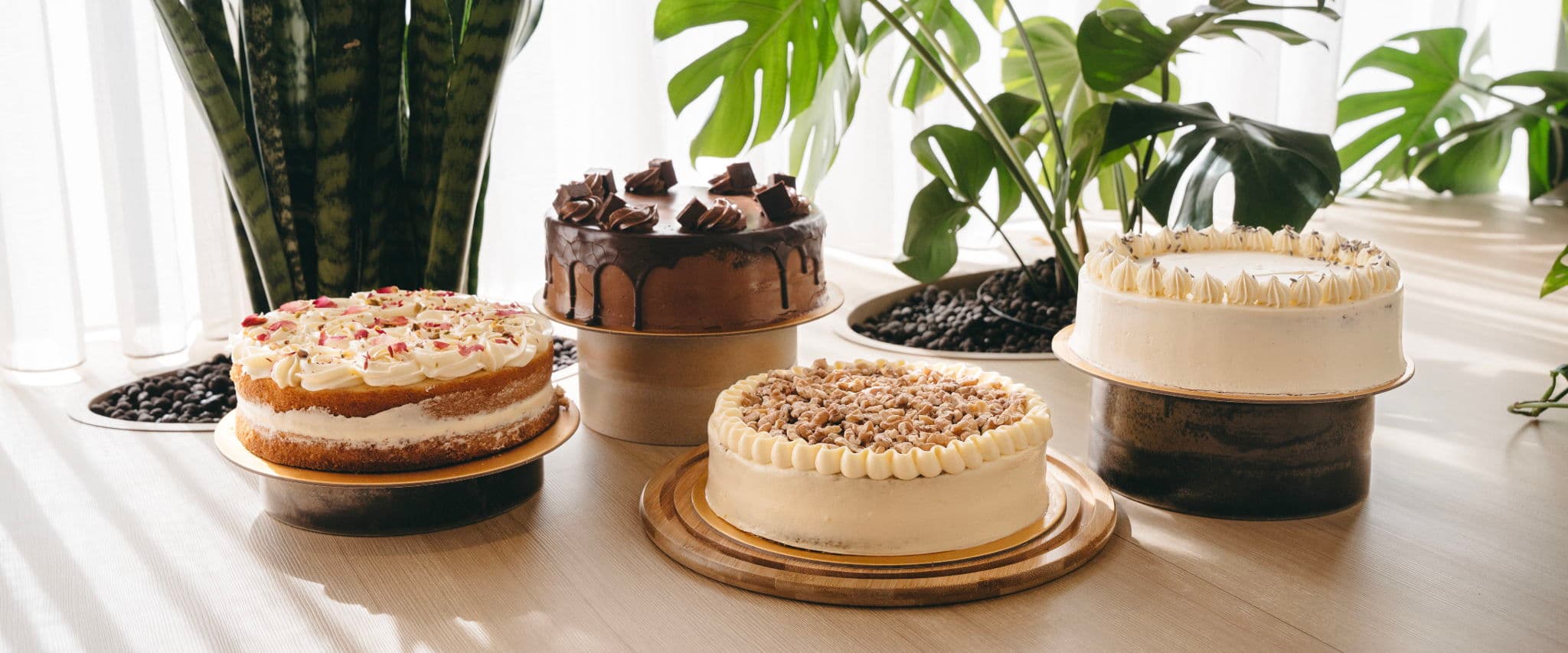 Lola's Cafe (Cakes and Catering)